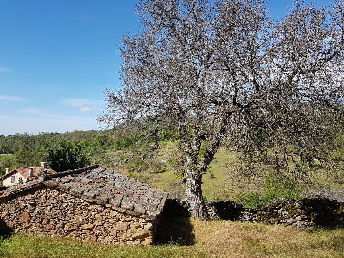 La Posada De Horcajuelo Horcajuelo de la Sierra Exteriér fotografie