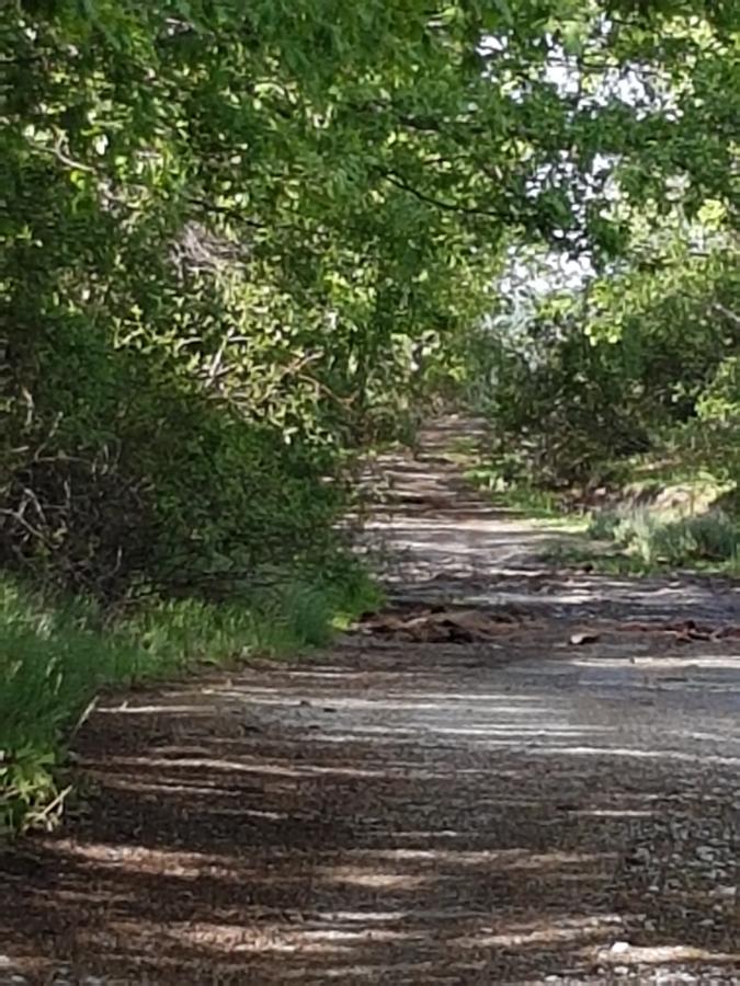 La Posada De Horcajuelo Horcajuelo de la Sierra Exteriér fotografie